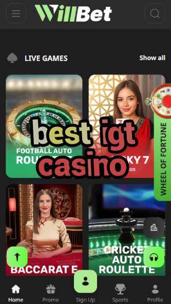 Best IGT Casino - Top IGT Slot Games-casinocasi.ydblkf.net