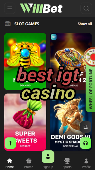 Best IGT Casino - Top IGT Slot Games-casinocasi.ydblkf.net